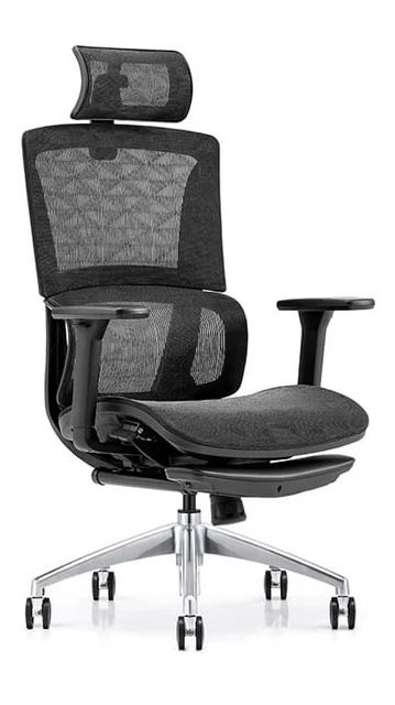 Ergonomic Mesh Office Chair