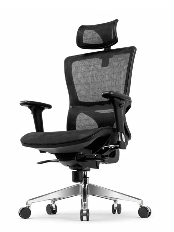 Ergonomic Mesh Office Chair